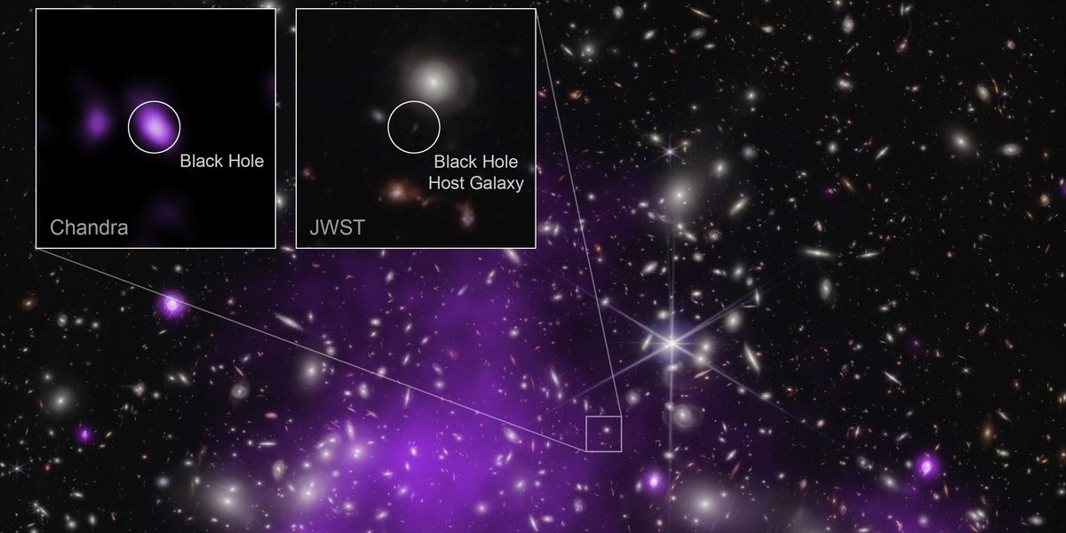 NextImg:Nasa discovers record-breaking black hole - and confirms it's still growing