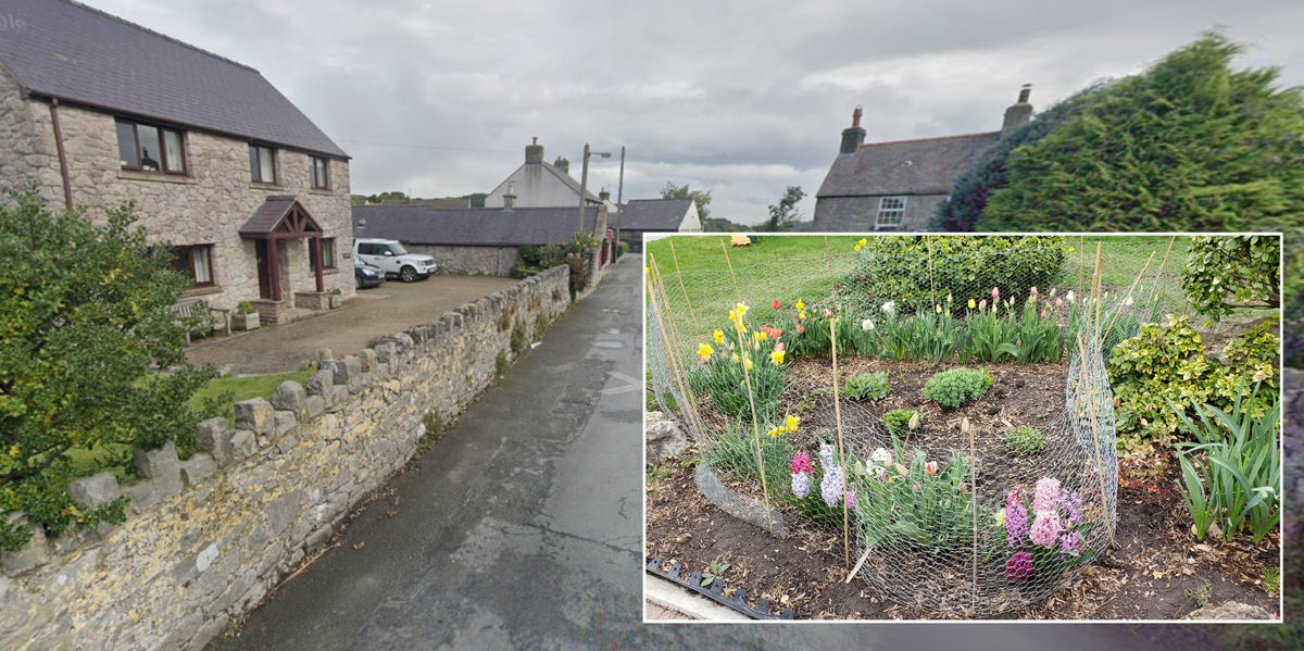 NextImg:Green-fingered neighbours wage WAR over wildflowers as eco firm boss RIPS UP entire flowerbed in planning row