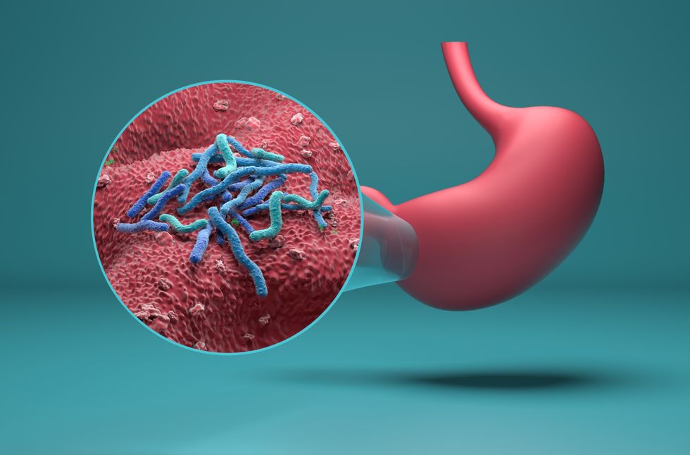 H. pylori illustration