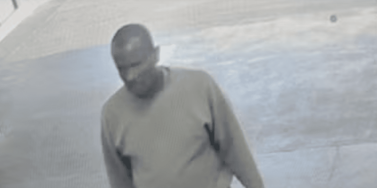 Epping migrant sex attacker spotted five miles from last known location as police search narrows Epping migrant sex attacker spotted five miles from last known location as police search narrows