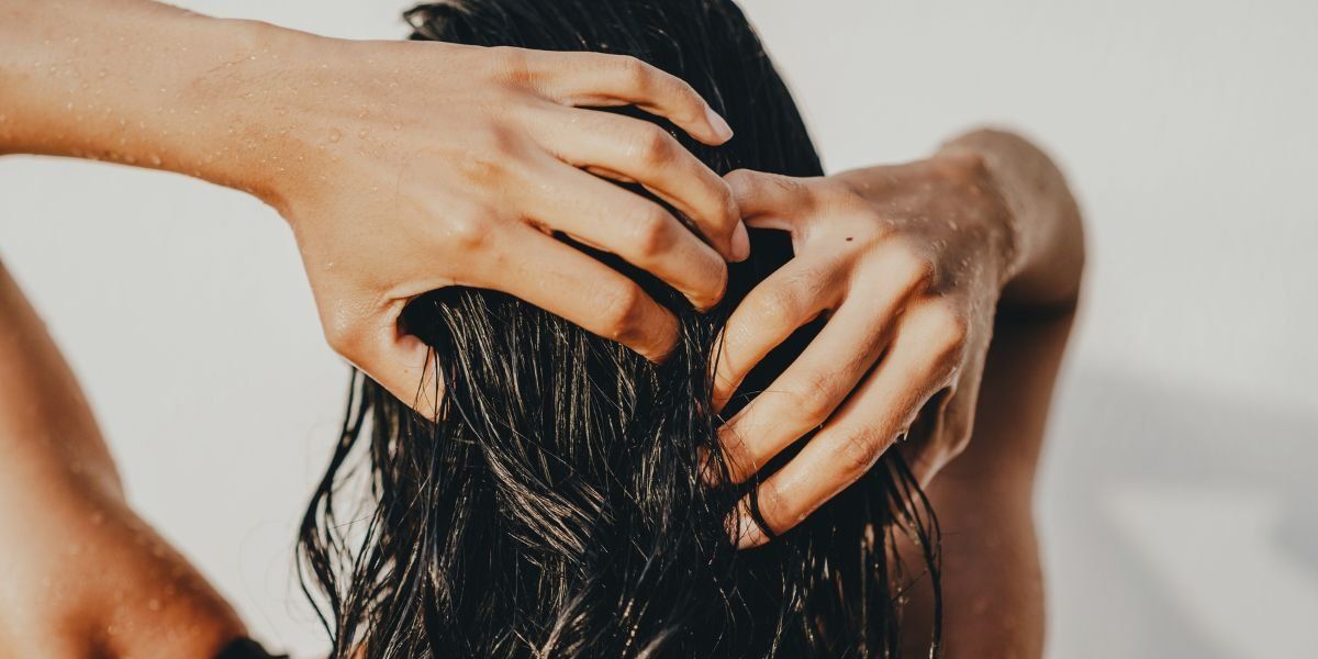 Ancient Chinese herb emerges as potential treatment for regrowth Ancient Chinese herb emerges as potential treatment for regrowth