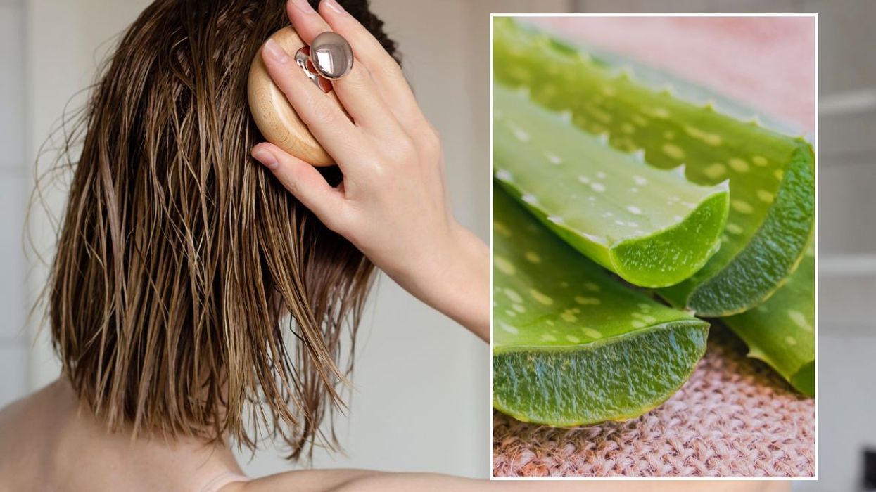 hair scalp balance aloe vera