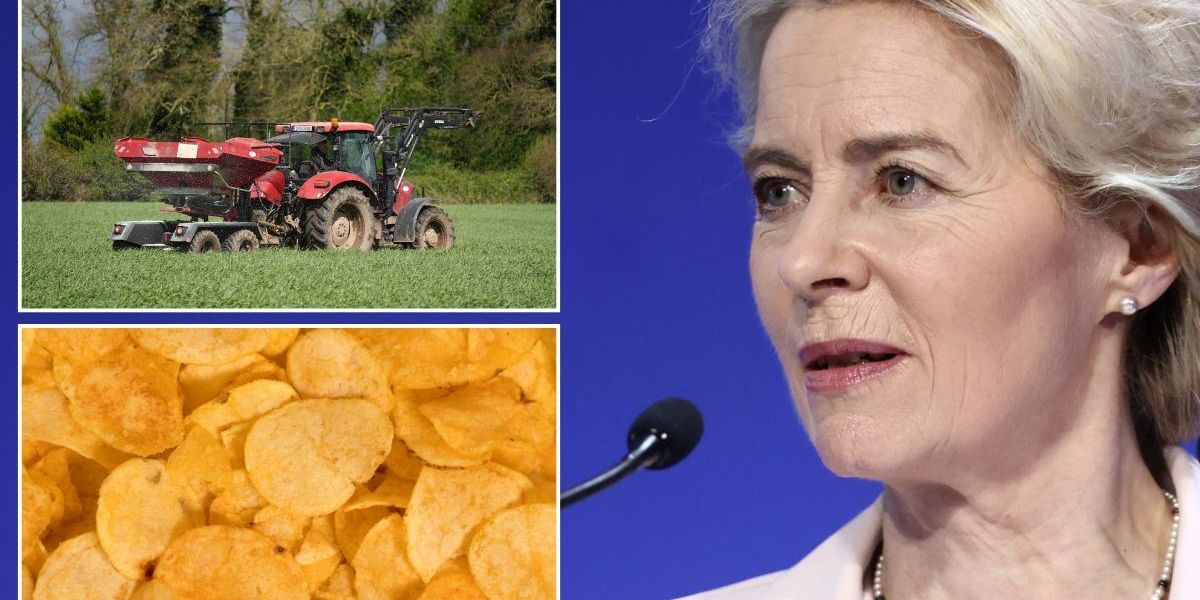 NextImg:'Ham fisted!' Brussels leaves Brits 'scratching heads' by banning popular crisp flavour