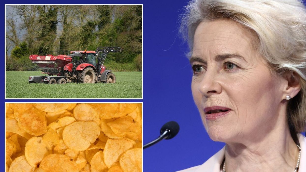 'Ham fisted!' Brussels leaves Brits 'scratching heads' by banning popular crisp flavour