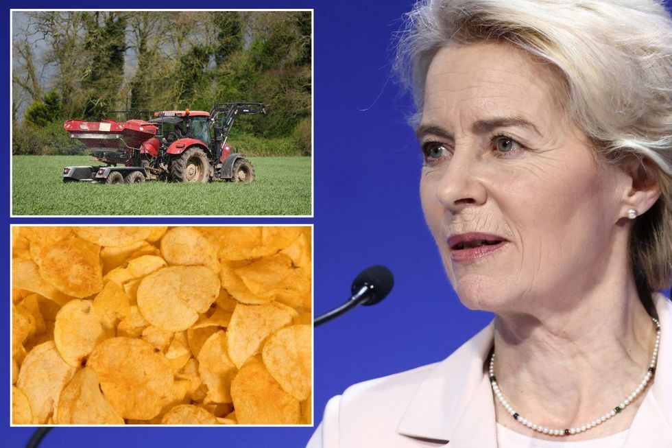 'Ham fisted!' Brussels leaves Brits 'scratching heads' by banning popular crisp flavour