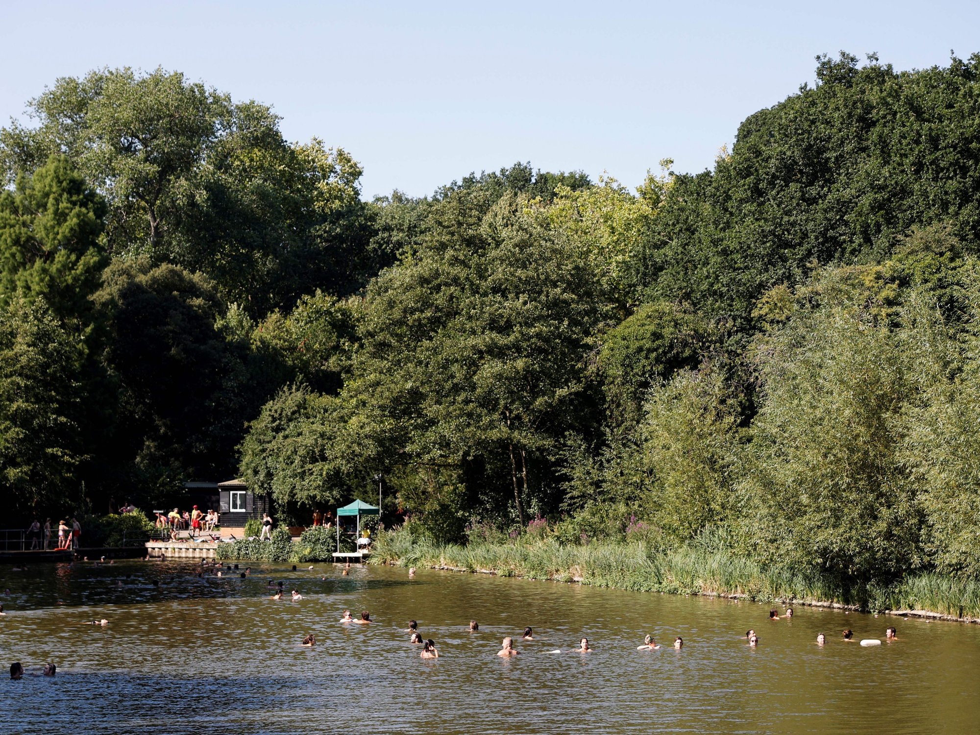 Hampstead Heath pond