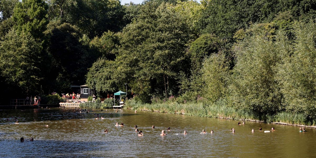 Trans row: Hampstead Heath spends £1m on 'privacy' upgrades after letting trans swimmers in women's pond thumbnail