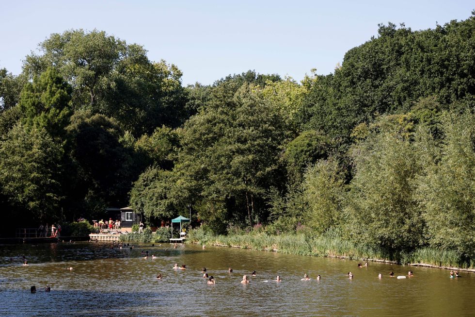 Hampstead Heath pond