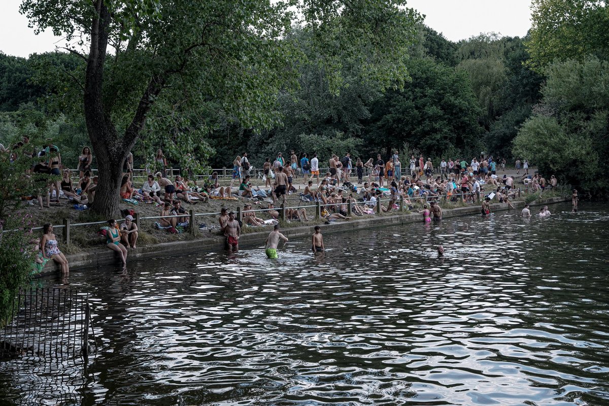 Hampstead Heath swimming ponds