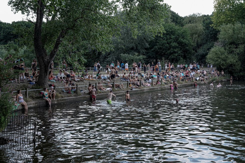 Hampstead Heath swimming ponds