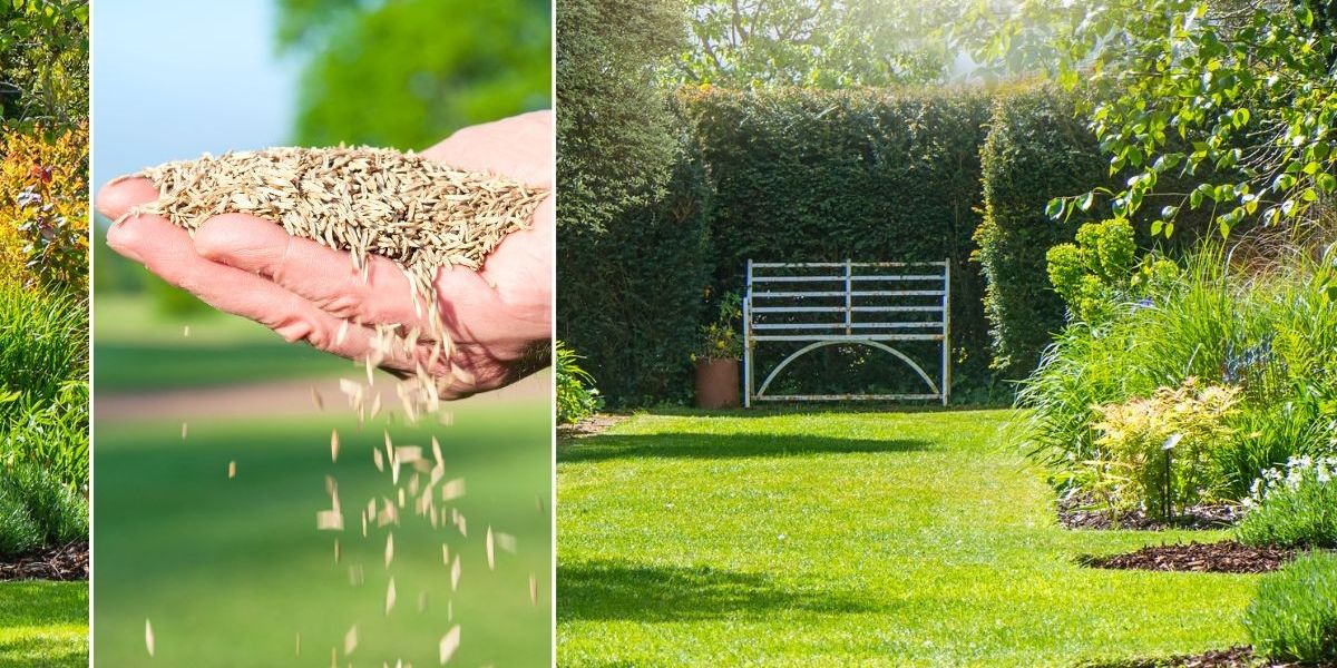 NextImg:Gardener urges Britons to complete key job 'before the end of the month' - or risk being too late