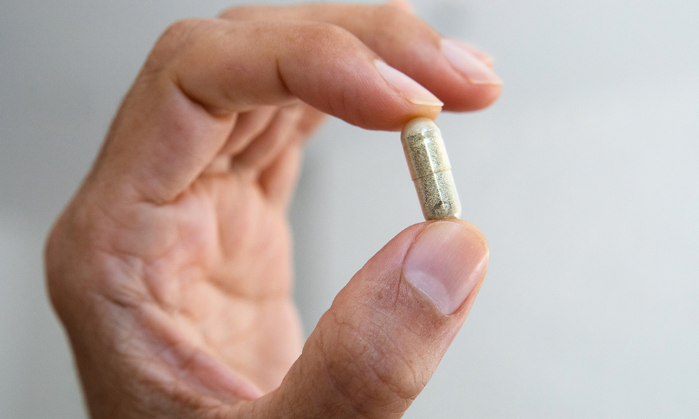 HAND HOLDING SUPPLEMENT