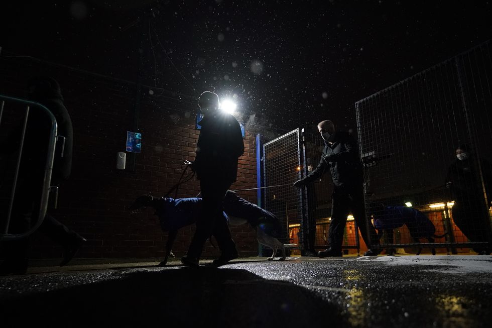 Handlers walk their dogs out to the track at Perry Barr Greyhound Stadium.