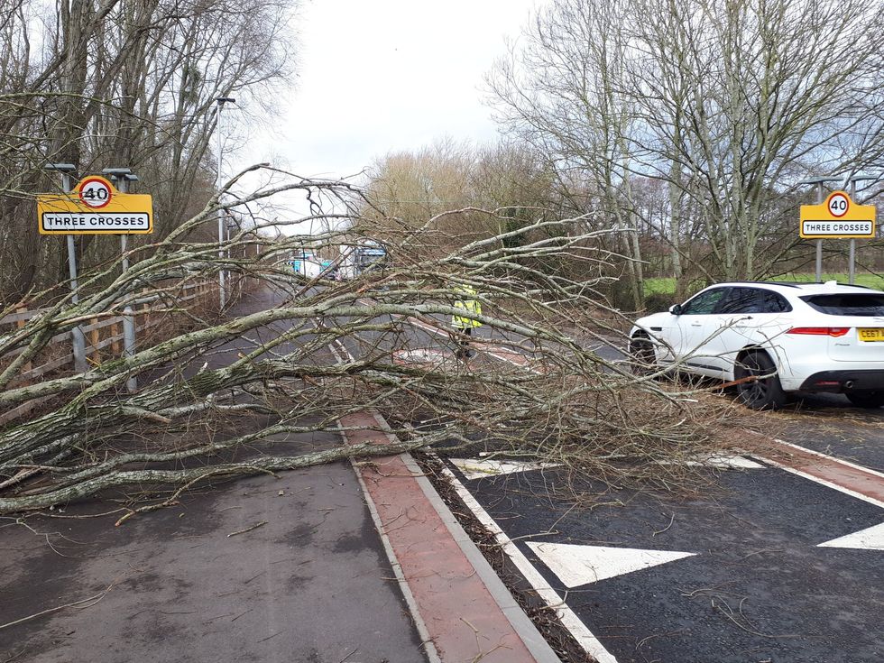 Handout image from the Twitter feed of @RossonWyeCops of a small tree blown into the road at Three Crosses in Ross-on-Wye during Storm Dudley. The storm will hit the north of England/southern Scotland from Wednesday night into Thursday morning, closely followed by Storm Eunice, which will bring strong winds and the possibility of snow on Friday. Picture date: Wednesday February 16, 2022.