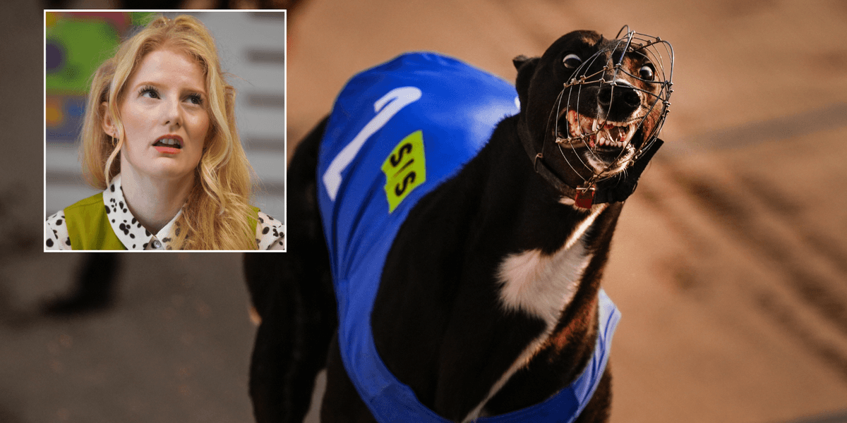 Hannah Spencer accuses Labour of believing working class people ‘don’t care about dogs’ Hannah Spencer accuses Labour of believing working class people ‘don’t care about dogs’