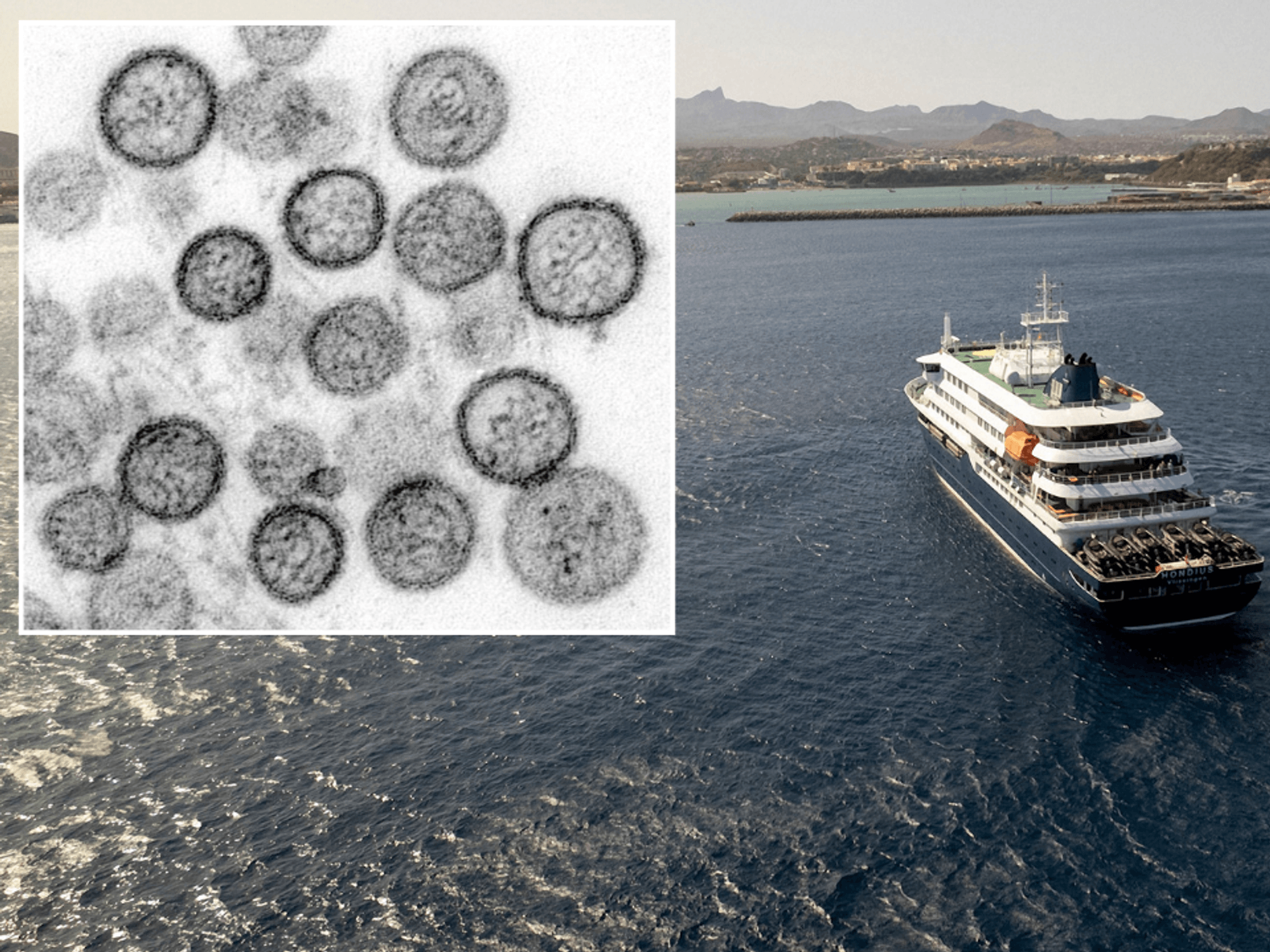 Hantavirus and the MV Hondius
