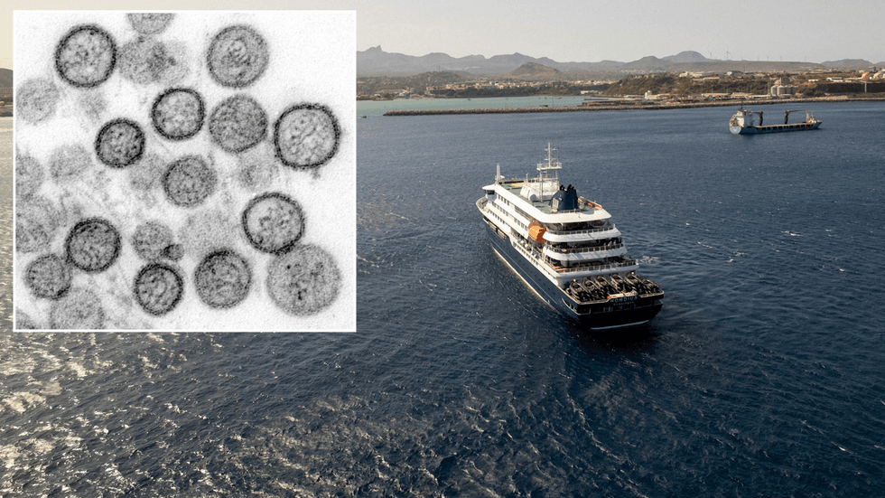 Hantavirus and the MV Hondius