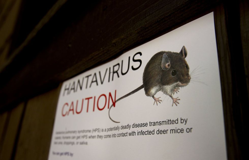 HANTAVIRUS CAUTION