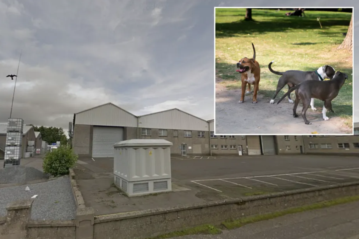 XL bully sanctuary housing more than 30 dogs has licence unanimously rejected again