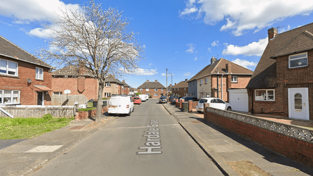 Hardale Grove, where one dog was destroyed and another recovered by police