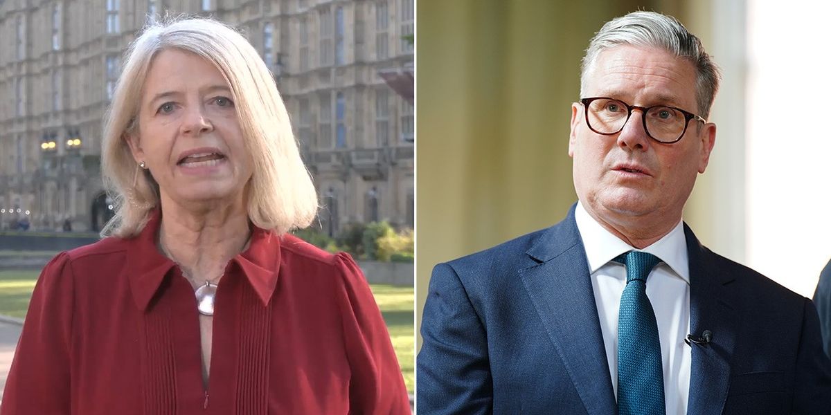 NextImg:Labour accused of 'not backing business' as Starmer demanded a 'rethink' on British Steel: 'Government of the unions!'