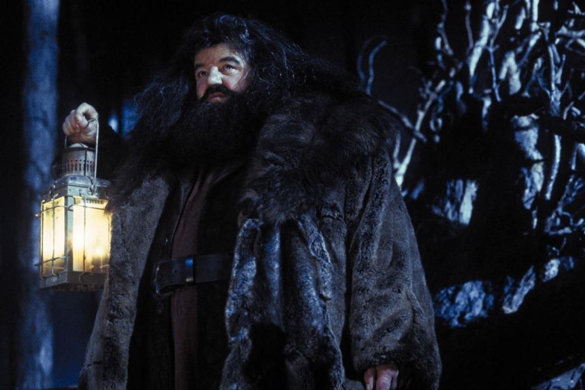 Harry Potter: Hagrid