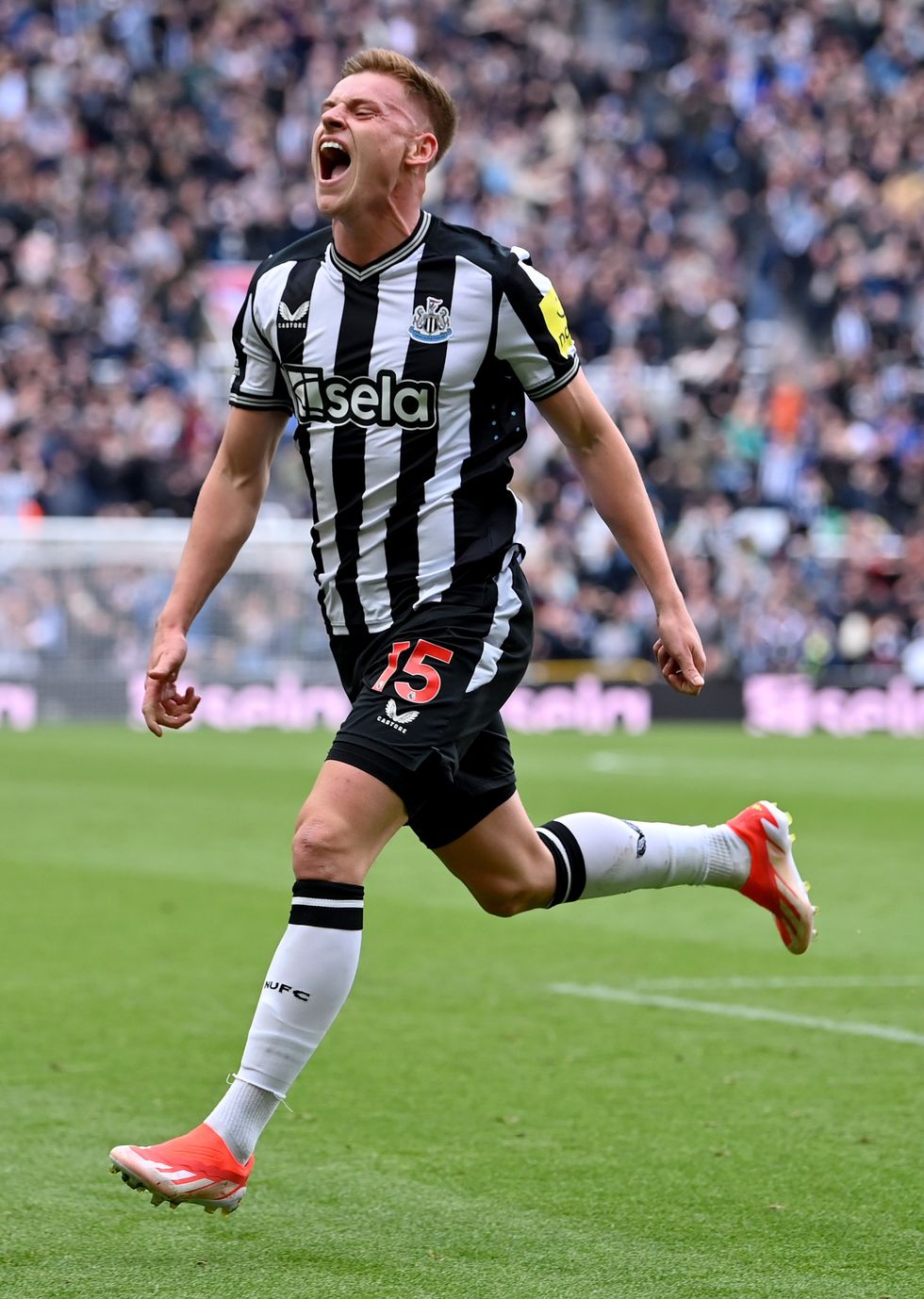 Harvey Barnes