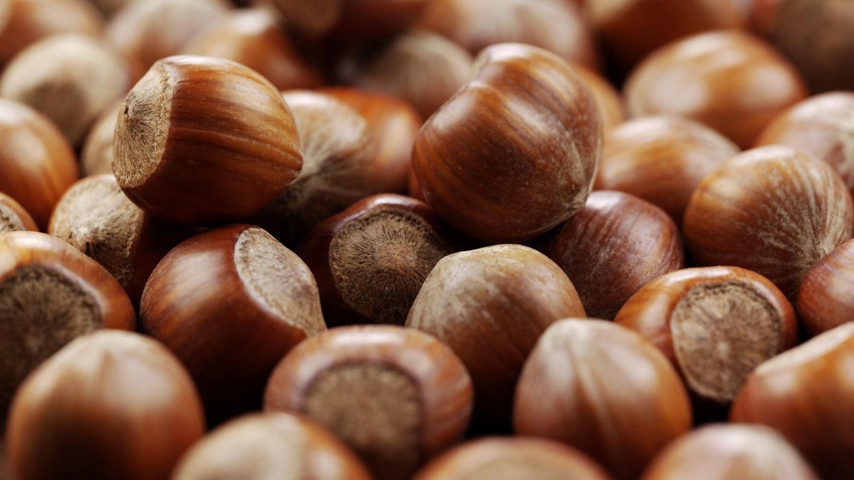 Hazelnuts