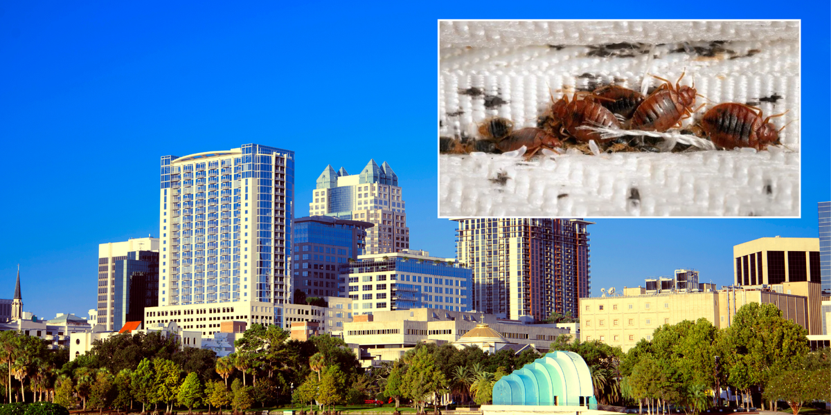 NextImg:Tui holiday hell leaves Britons battling bed bugs and blood-soiled mattress on £29k dream holiday