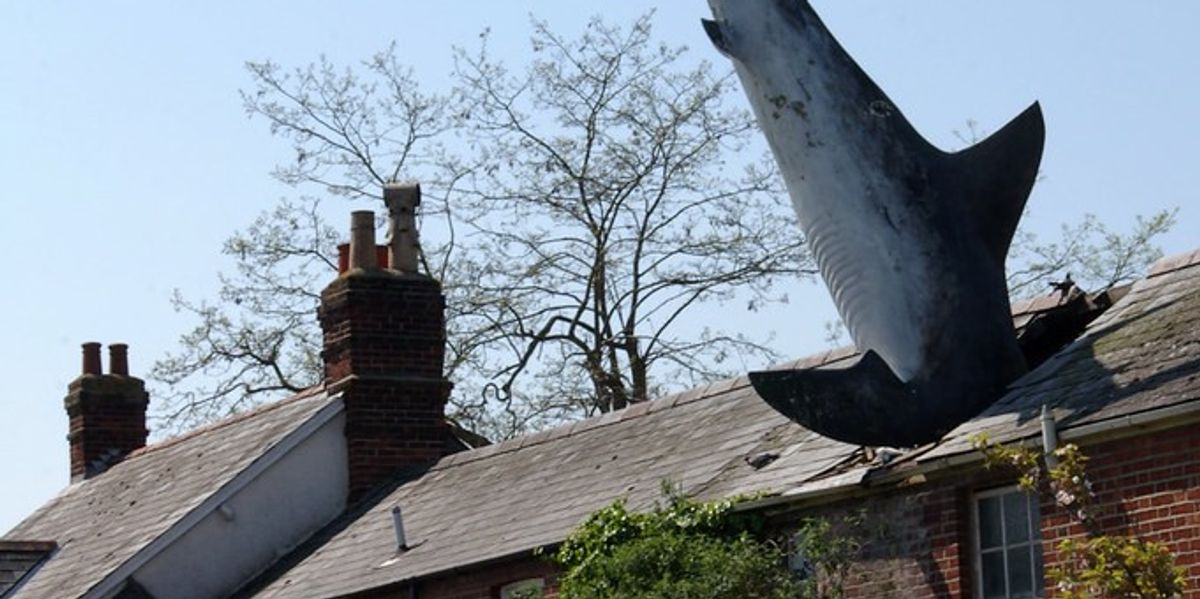NextImg:House with 25ft SHARK sticking out of its roof no longer allowed to be rented due to technicality