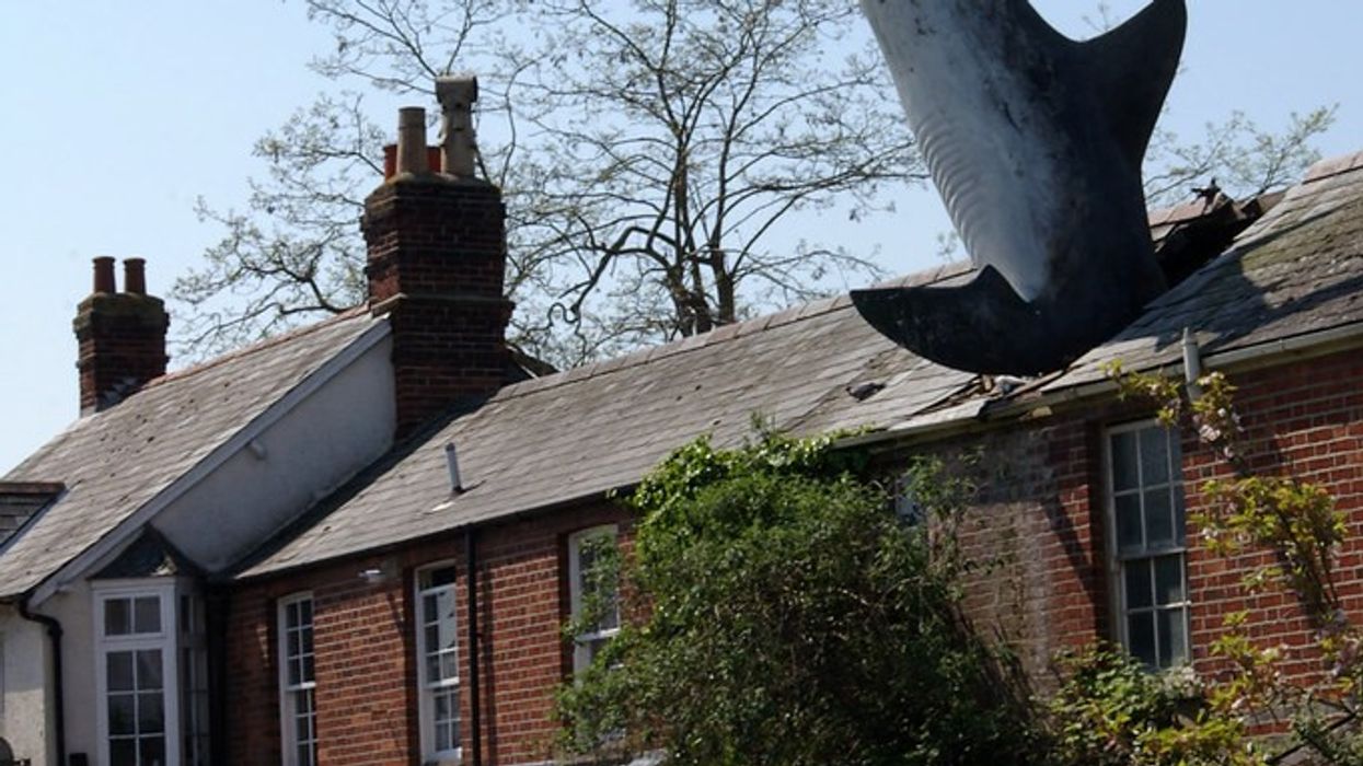 Headington Shark House