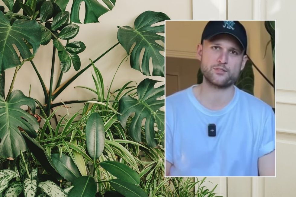 headshot of the thesydneyplantguy and plant stock image