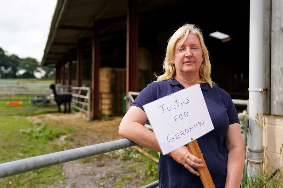 Helen Macdonald at Shepherds Close Farm in Wooton Under Edge, Gloucestershire.