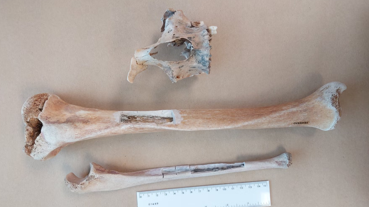 Henry Goodsell bones