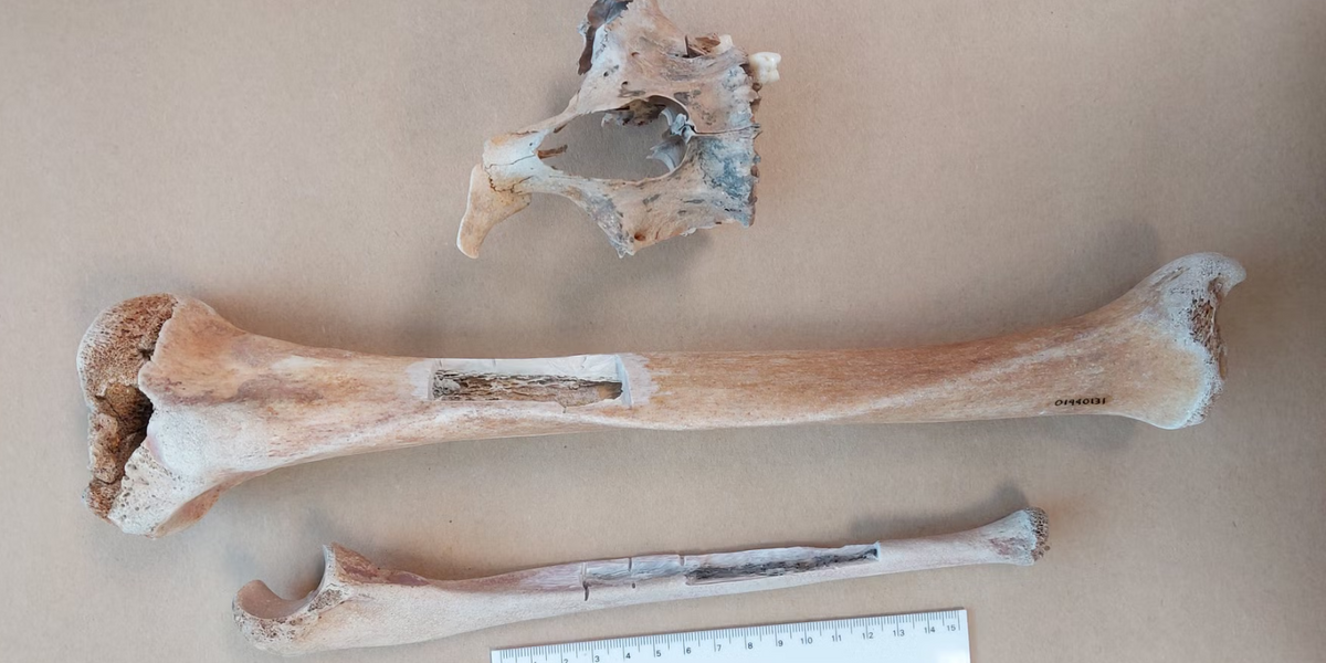 NextImg:Centuries-old cold case finally solved after researchers identify mysterious remains on Jersey shore
