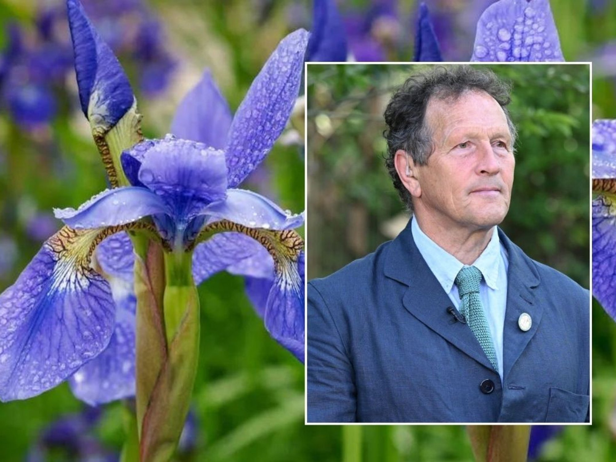 Herbaceous Perennials and monty don