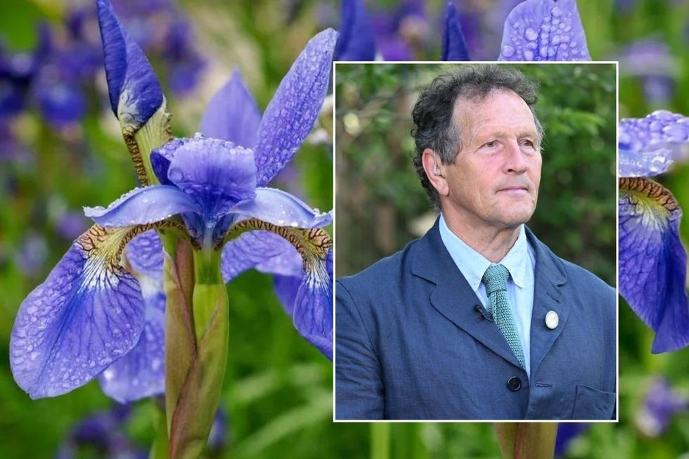 Herbaceous Perennials  and monty don