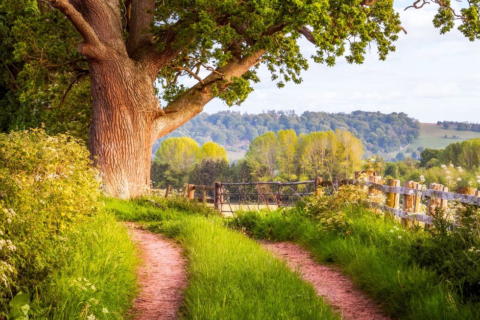 Herefordshire rural scene