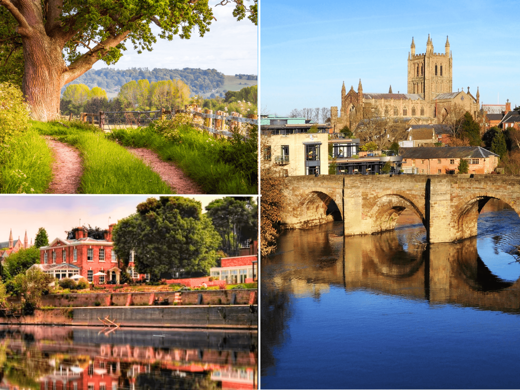 Herefordshire / Worcester Cathedral on the banks of the river Severn