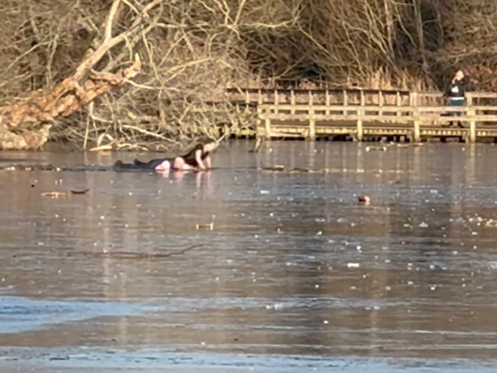hero dives into frozen lake to save man and dog
