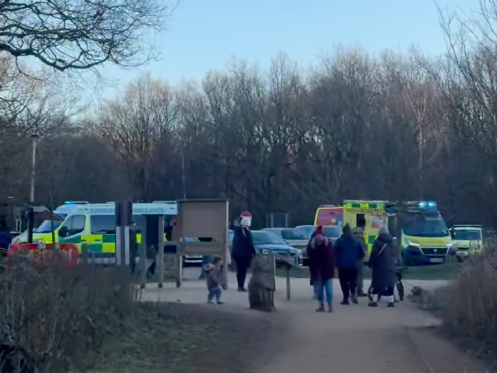 hero dives into frozen lake to save man and dog