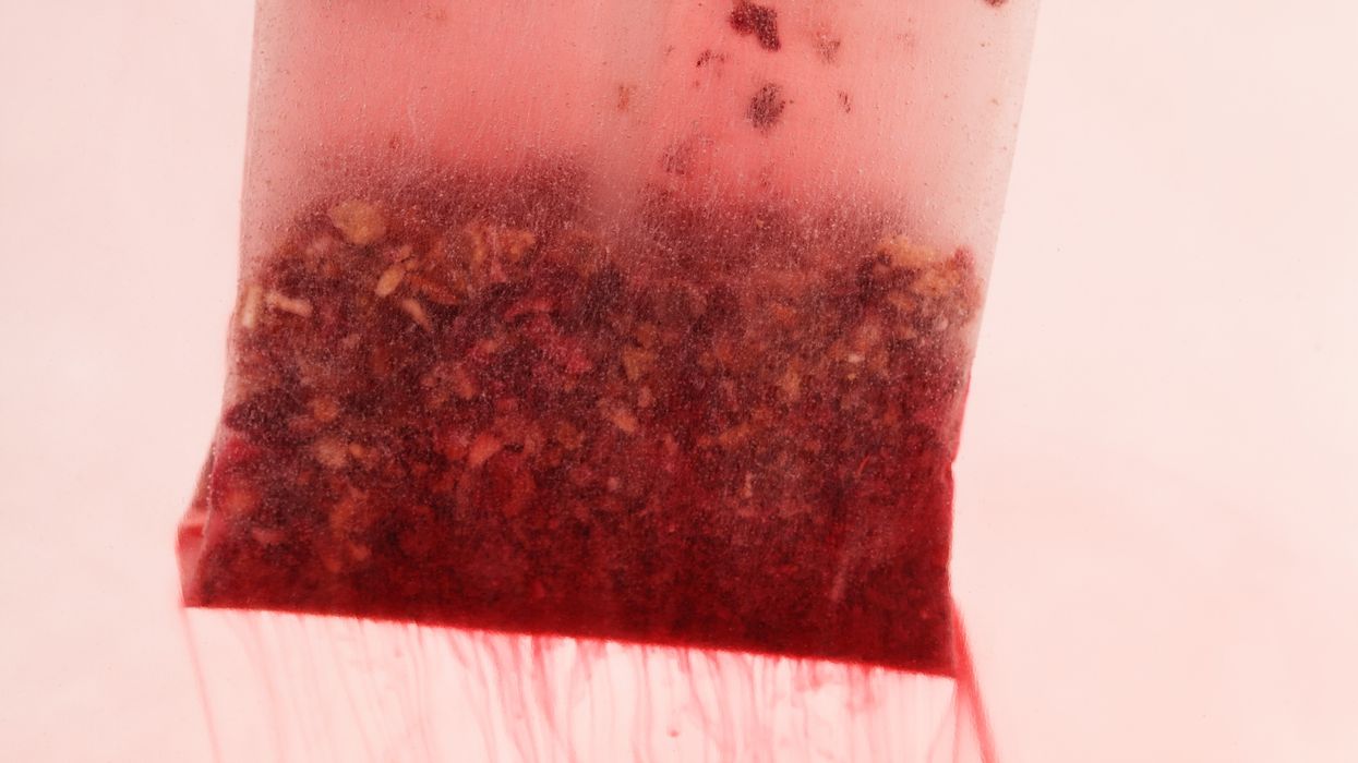 hibiscus tea bag