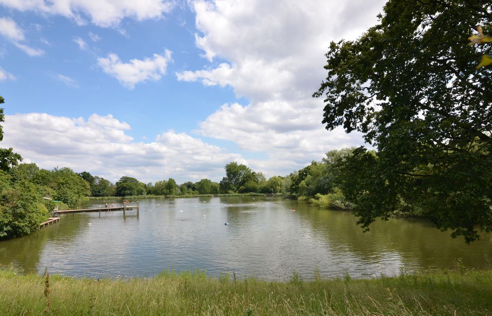 Highgate men's pond