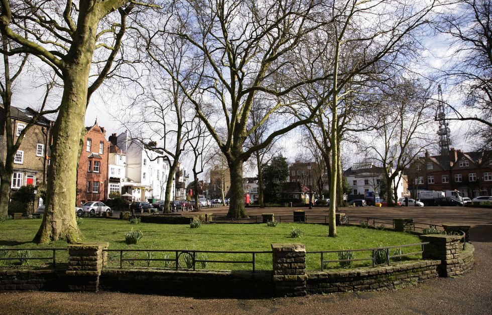Highgate park London