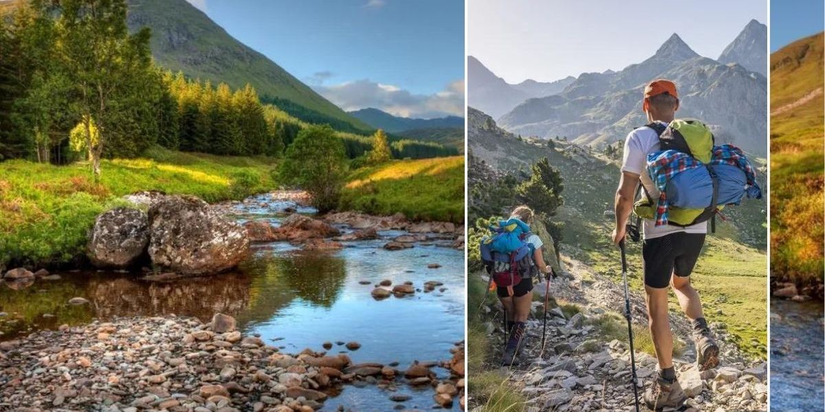 NextImg:Most picturesque spot for autumnal strolls in the UK where scenic trails labelled are 'therapeutic' by visitors