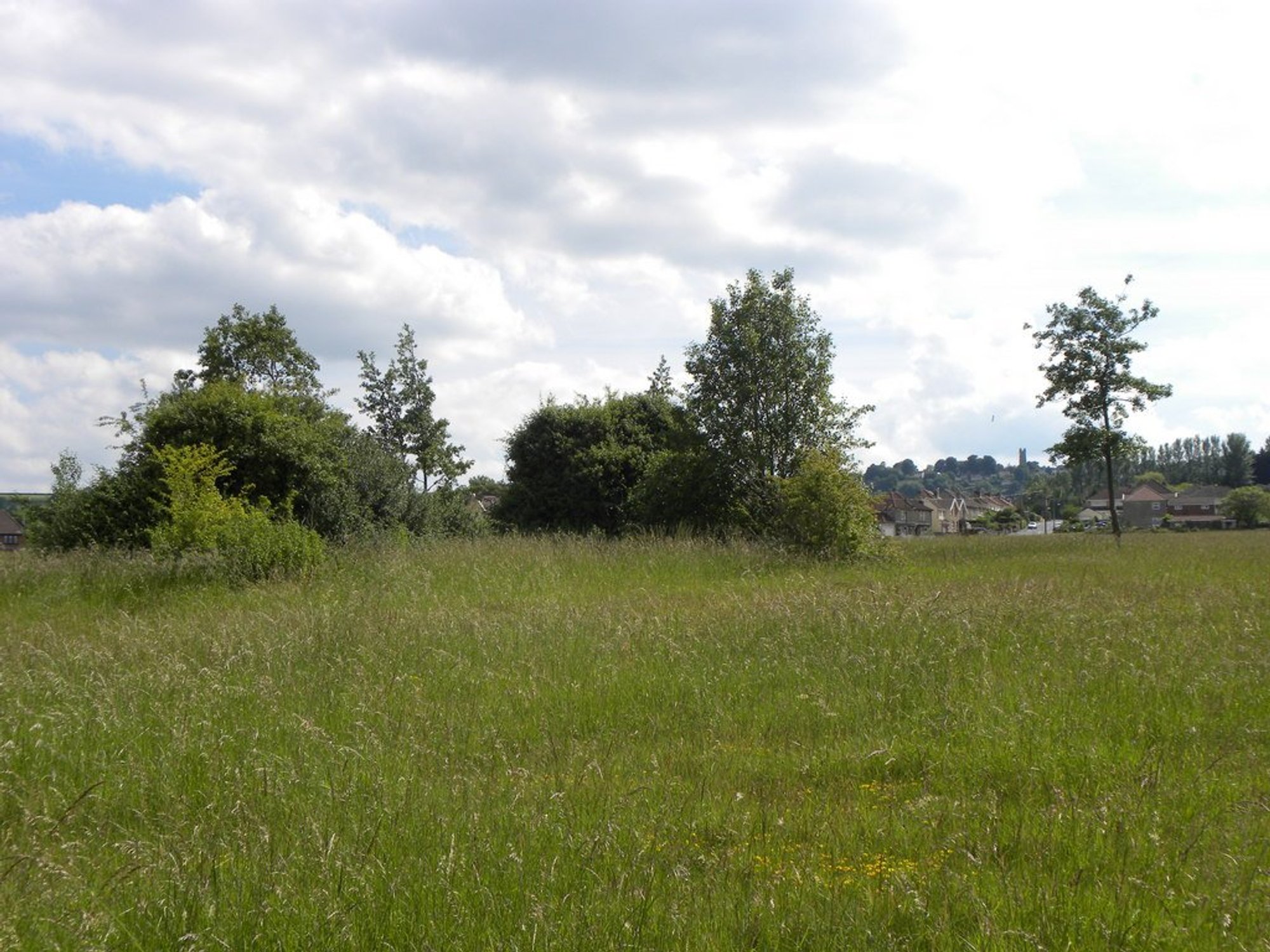Highridge Common at the edge of Bishopsworth