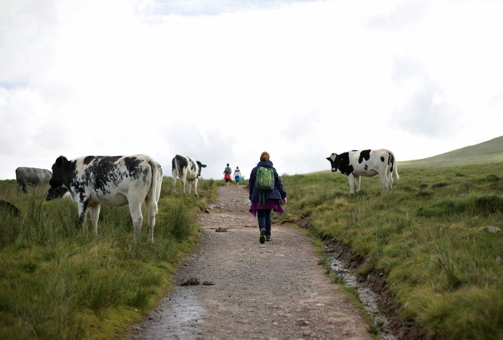 Hikers in the Brecon Beacons