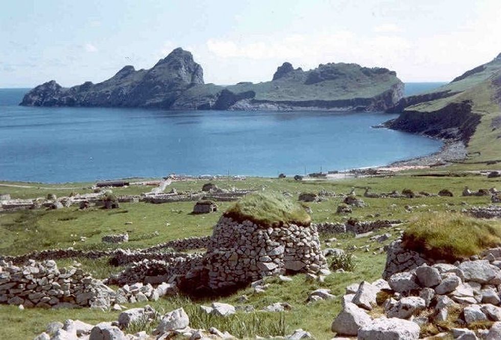 Hirta