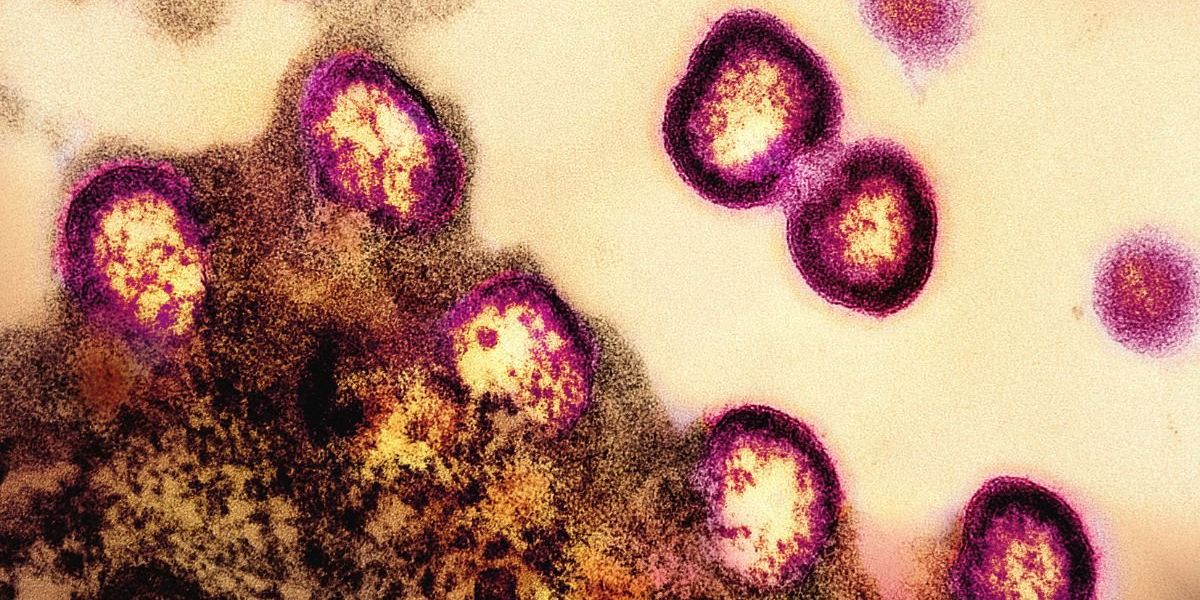 Man, 64, cured of HIV after transplant from brother with rare mutation Man, 64, cured of HIV after transplant from brother with rare mutation