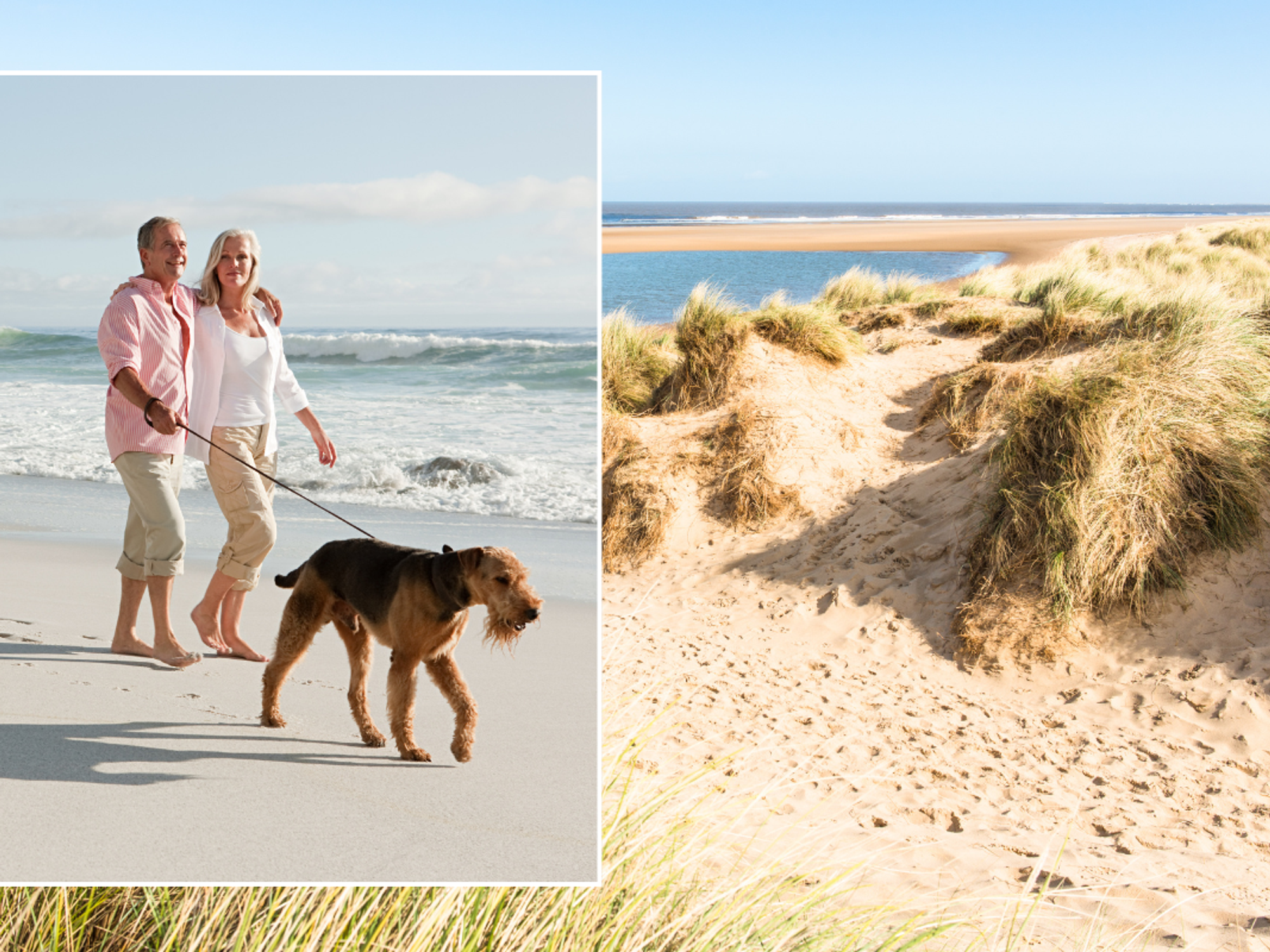 Holkham Beach Norfolk / couple with dog walking on beach